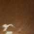 15888545-2.jpg