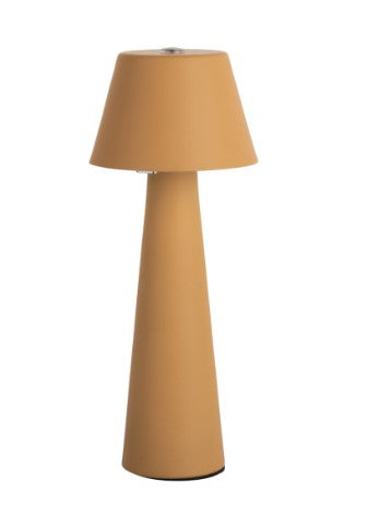 18888946.jpg