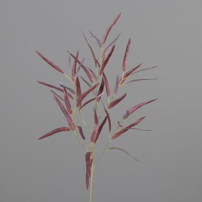 18105148.jpg