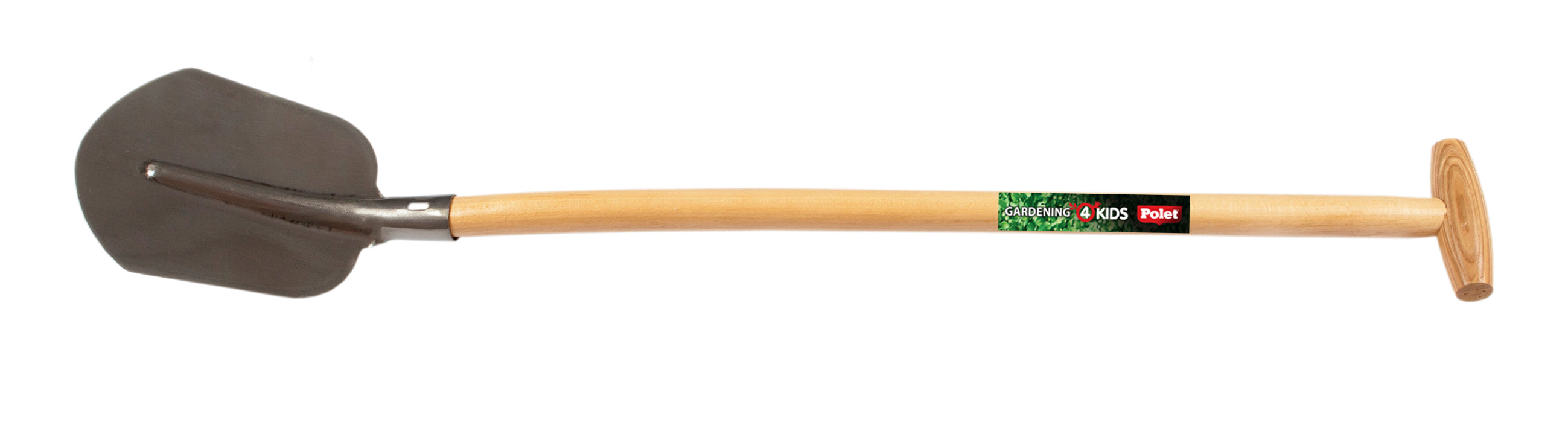 14403055.jpg