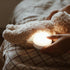 17113353-3.jpg