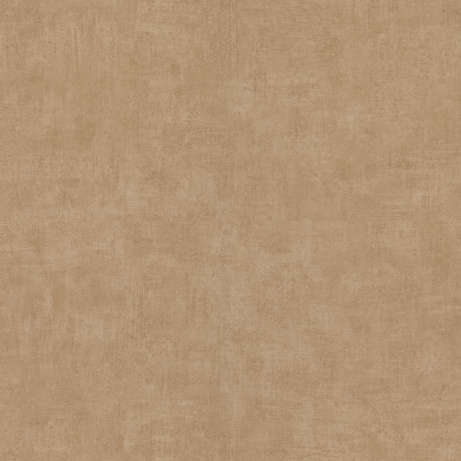 17658230.jpg