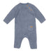 17764012.jpg