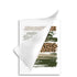 17289627.jpg