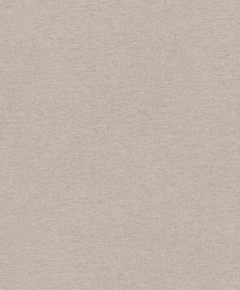 17020260.jpg