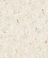 17957586.jpg