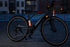 16924123-2.jpg