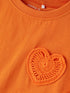 18163764-2.jpg