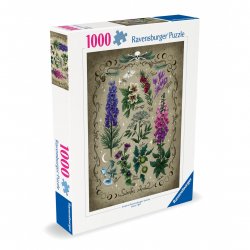 18613100.jpg
