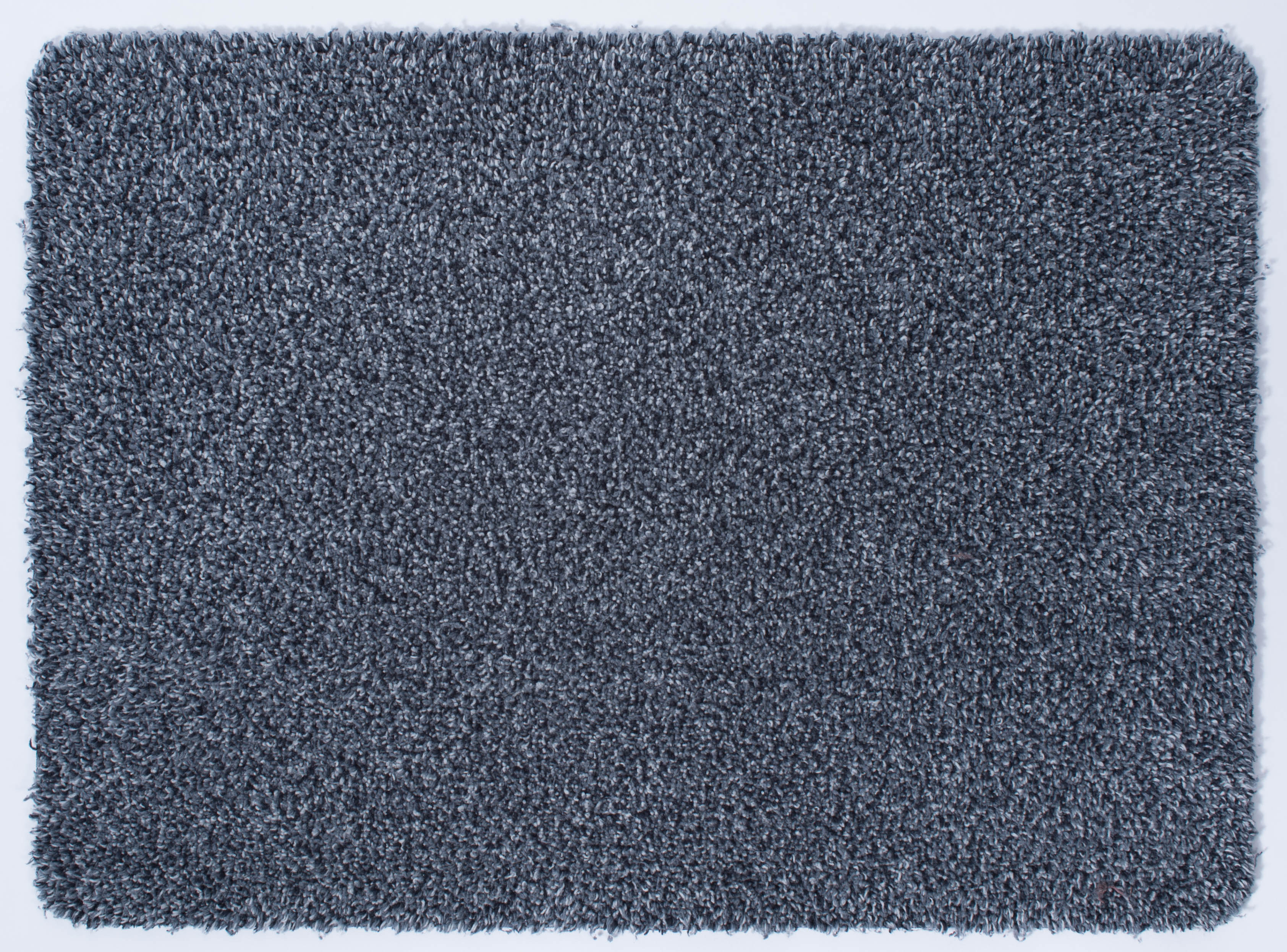 14459805.jpg