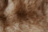 16386046-7.jpg