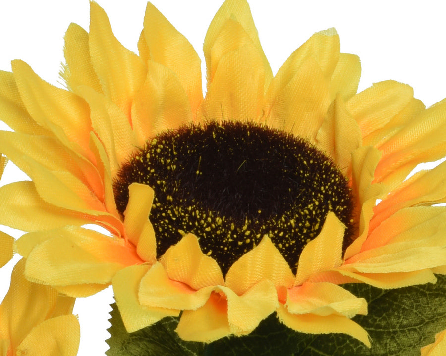 18384752-1.jpg