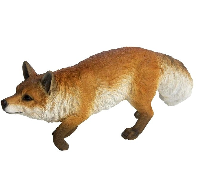 17426385.jpg
