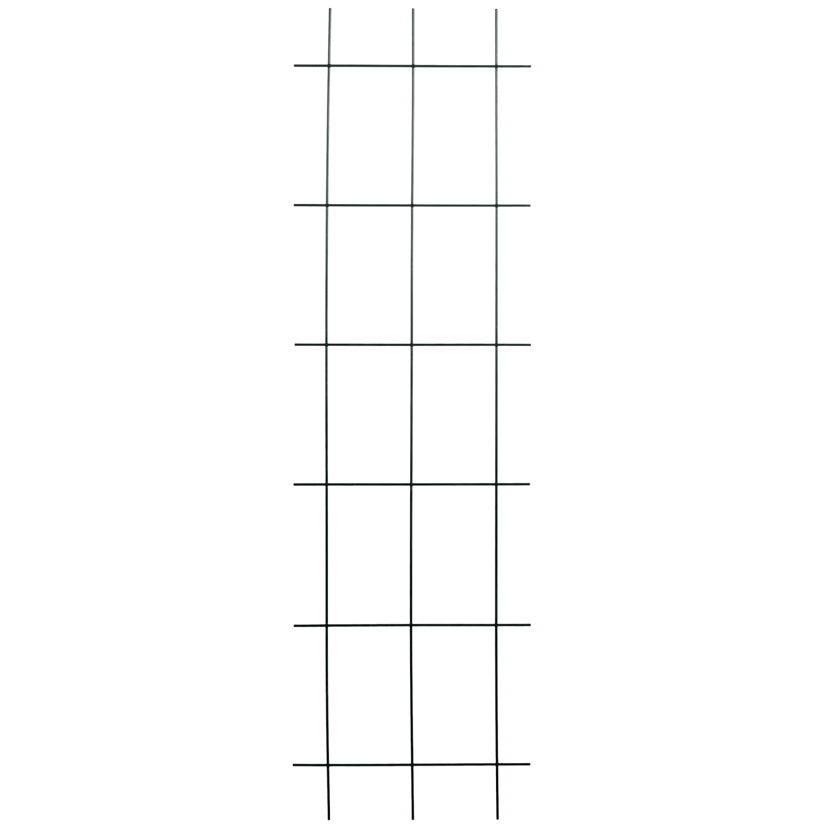 14970678.jpg