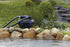13698827-8.jpg