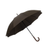 16997057.png