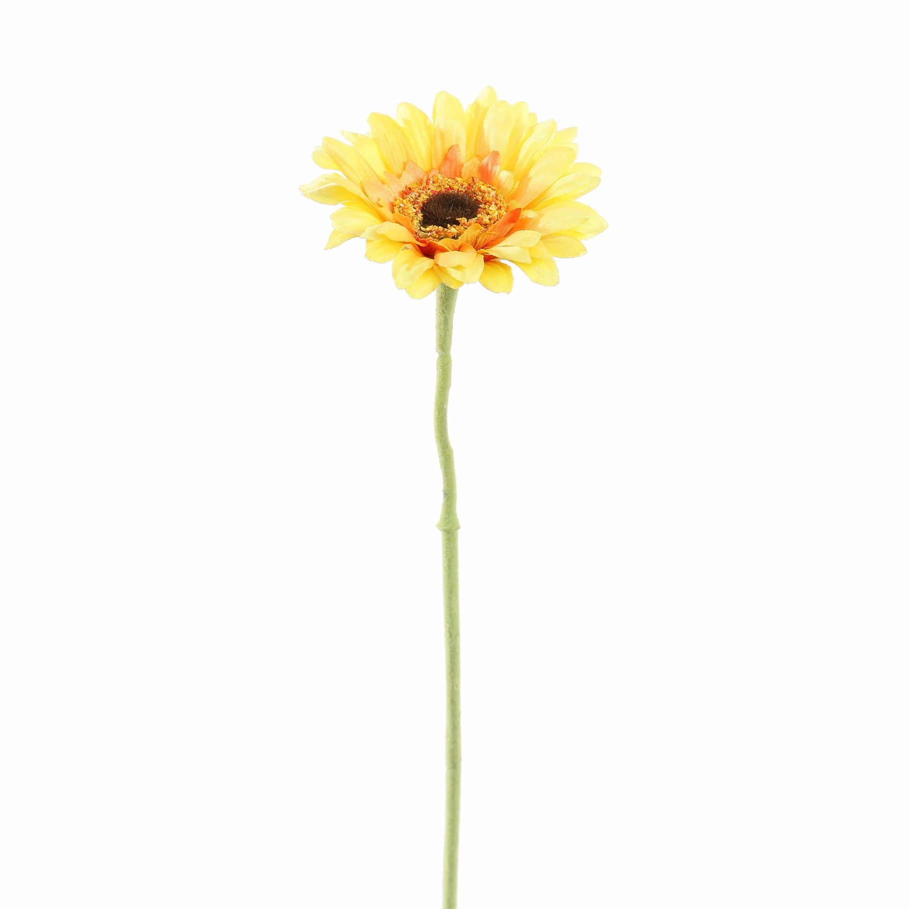 20047137.jpg