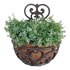 15335737.png
