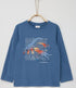18594388.jpg