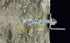16862627-1.jpg