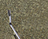 16179136-7.jpg