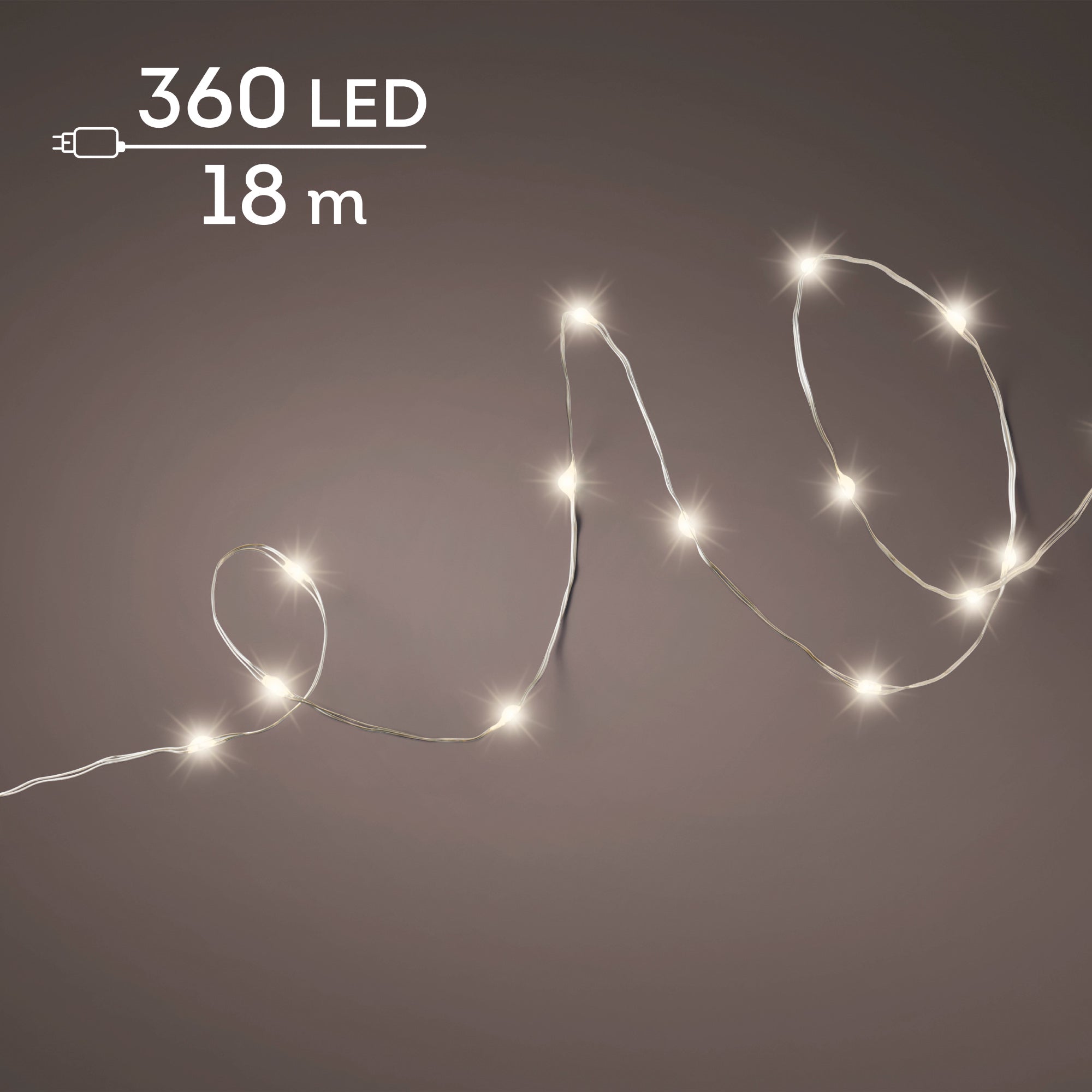497029.jpg