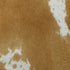 15383246-1.jpg