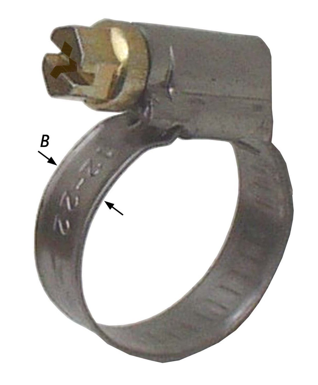 15965684.jpg