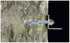 16833618-1.jpg
