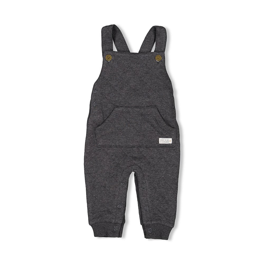 18659968.jpg