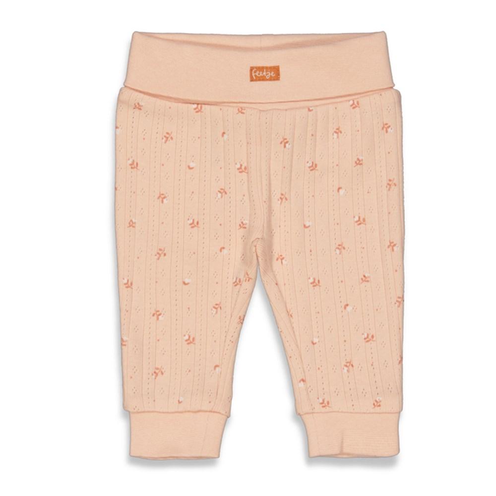 17966898.jpg