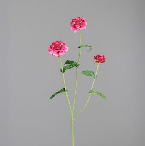 20036286.jpg