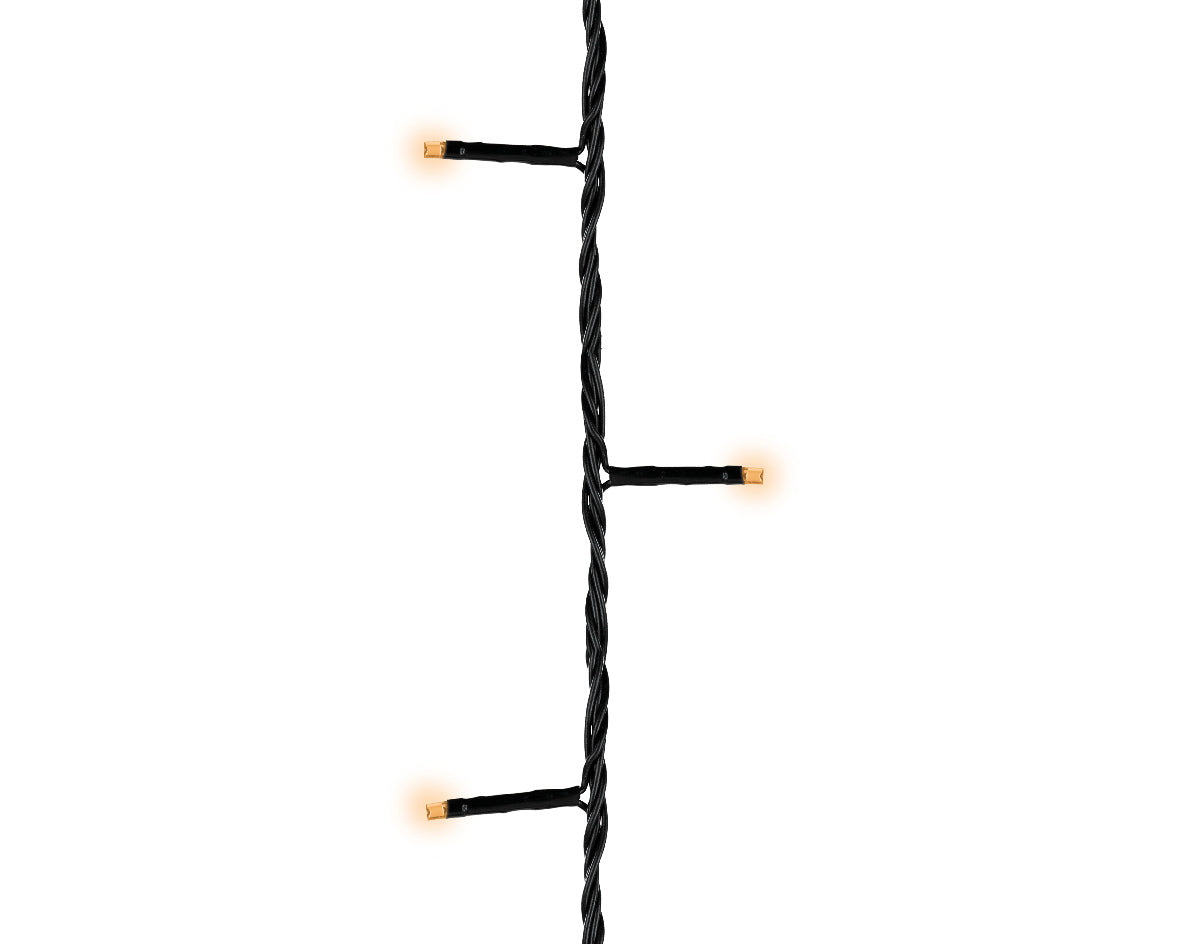 14771563.jpg