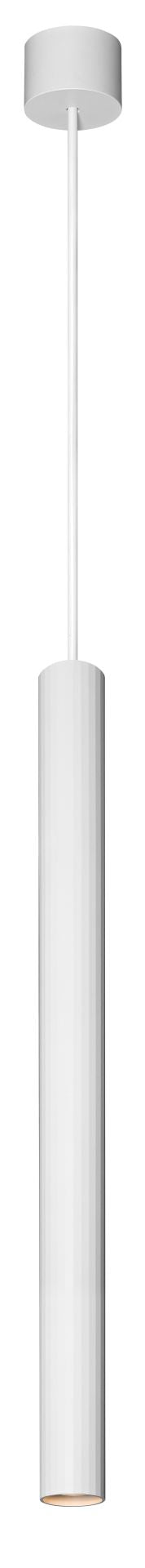 20045941.jpg