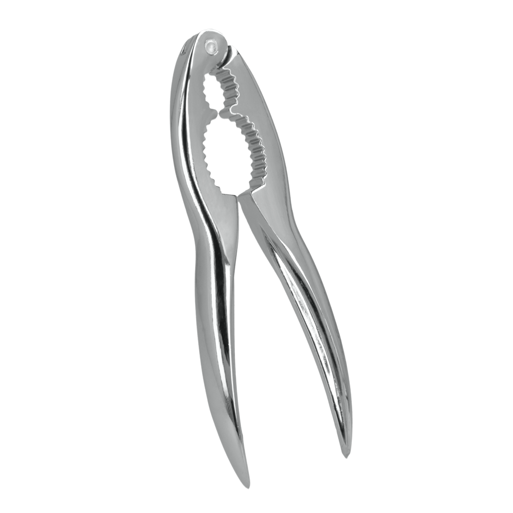 15132330.png