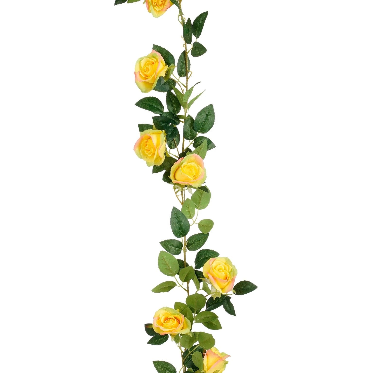 20031304.jpg