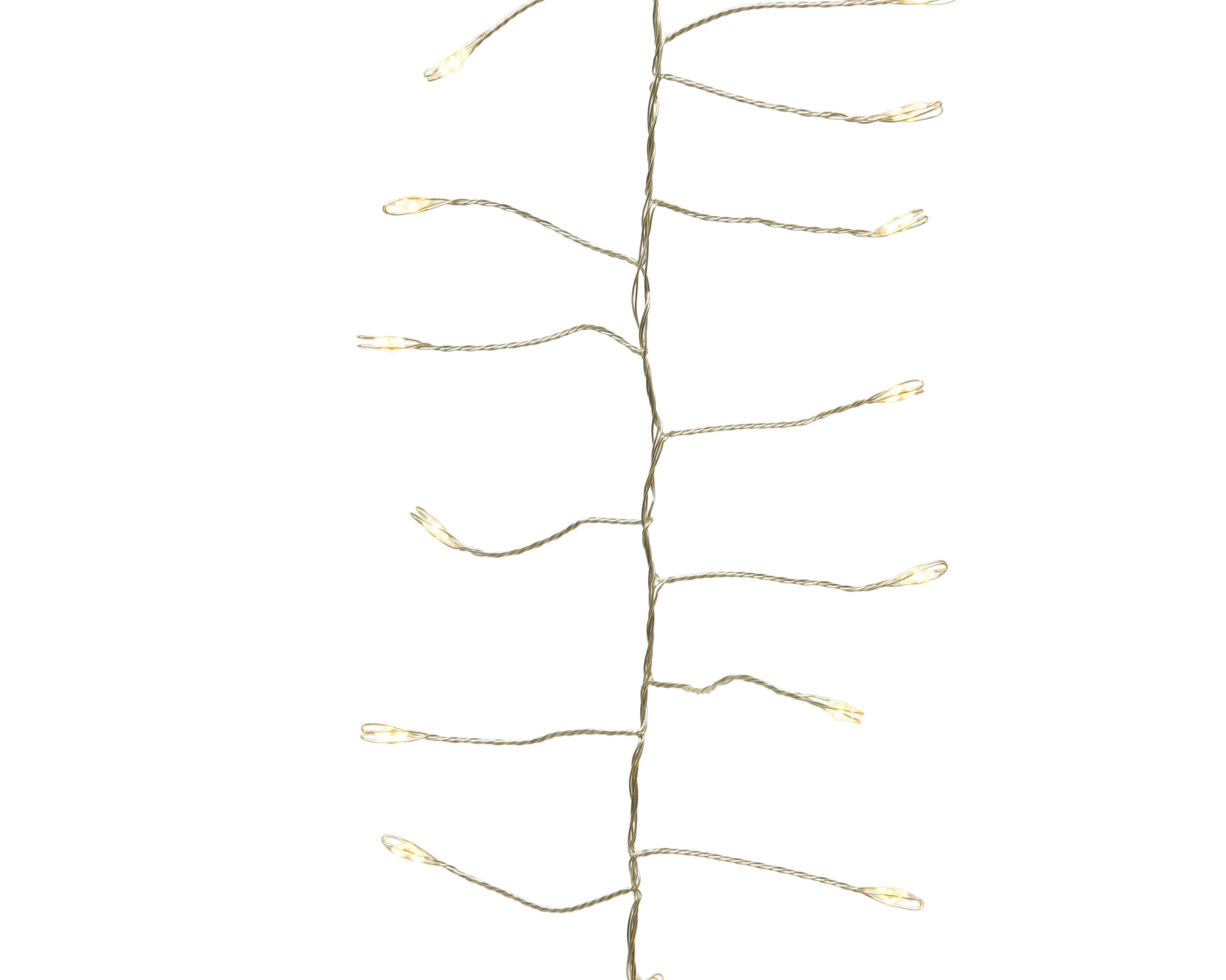 16894606.jpg