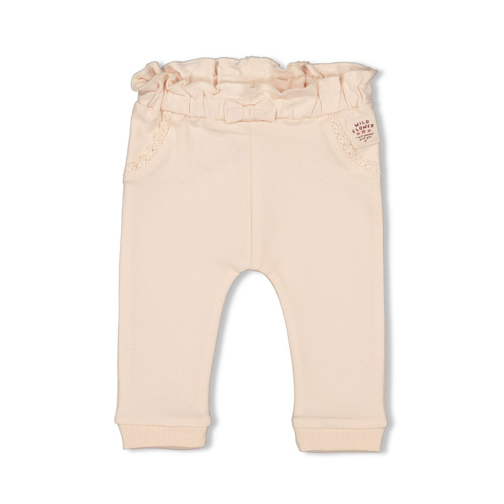 18392719.jpg