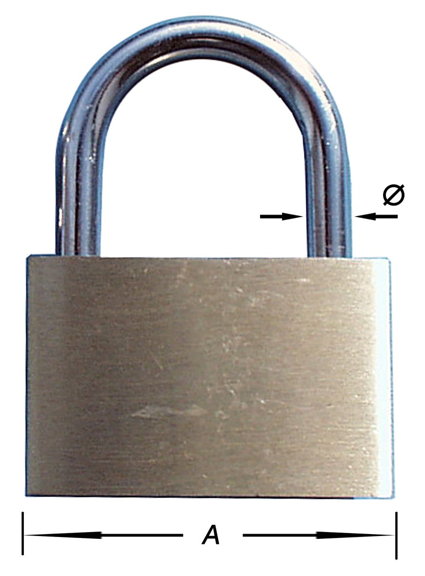 14564114.jpg