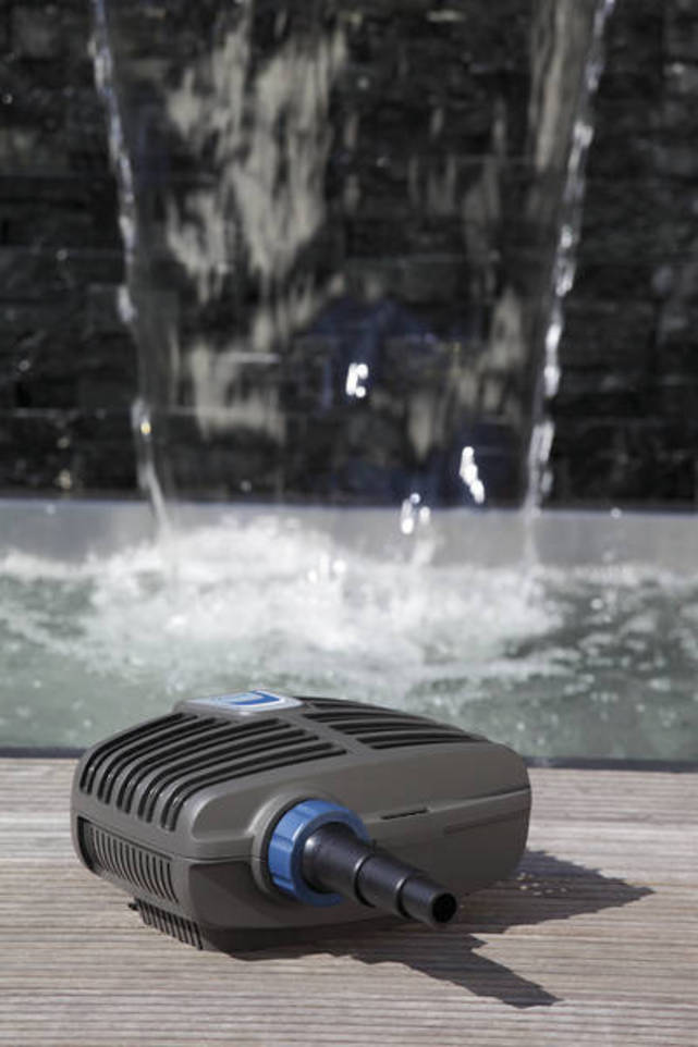 13698872-4.jpg