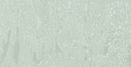 18788901-2.jpg