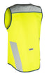 16923890-1.jpg