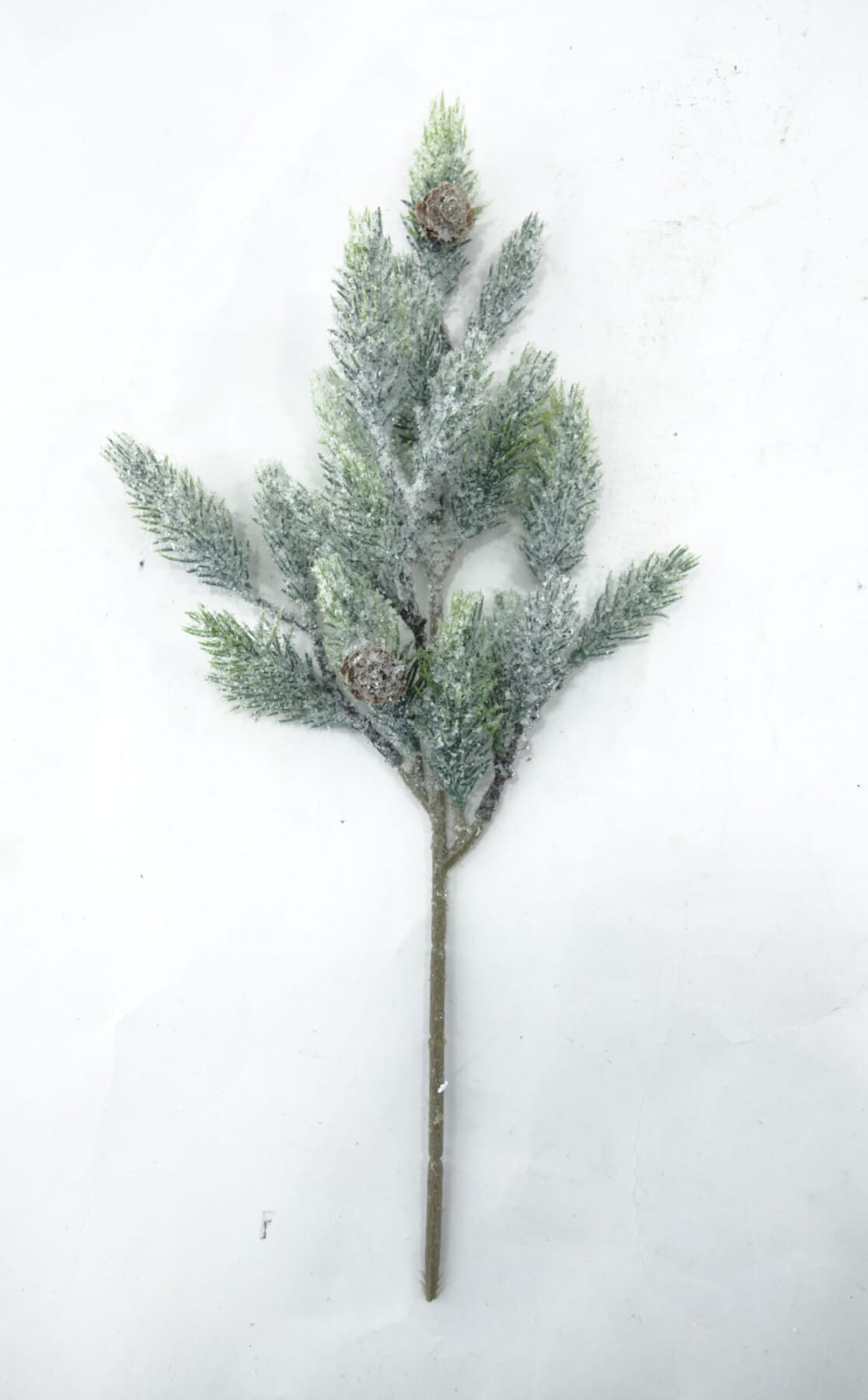 20061628.jpg