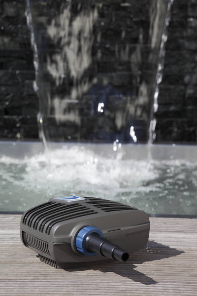 13698805-3.jpg