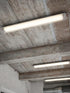 18308811-1.jpg