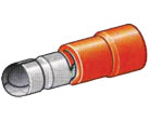 307479-1.jpg