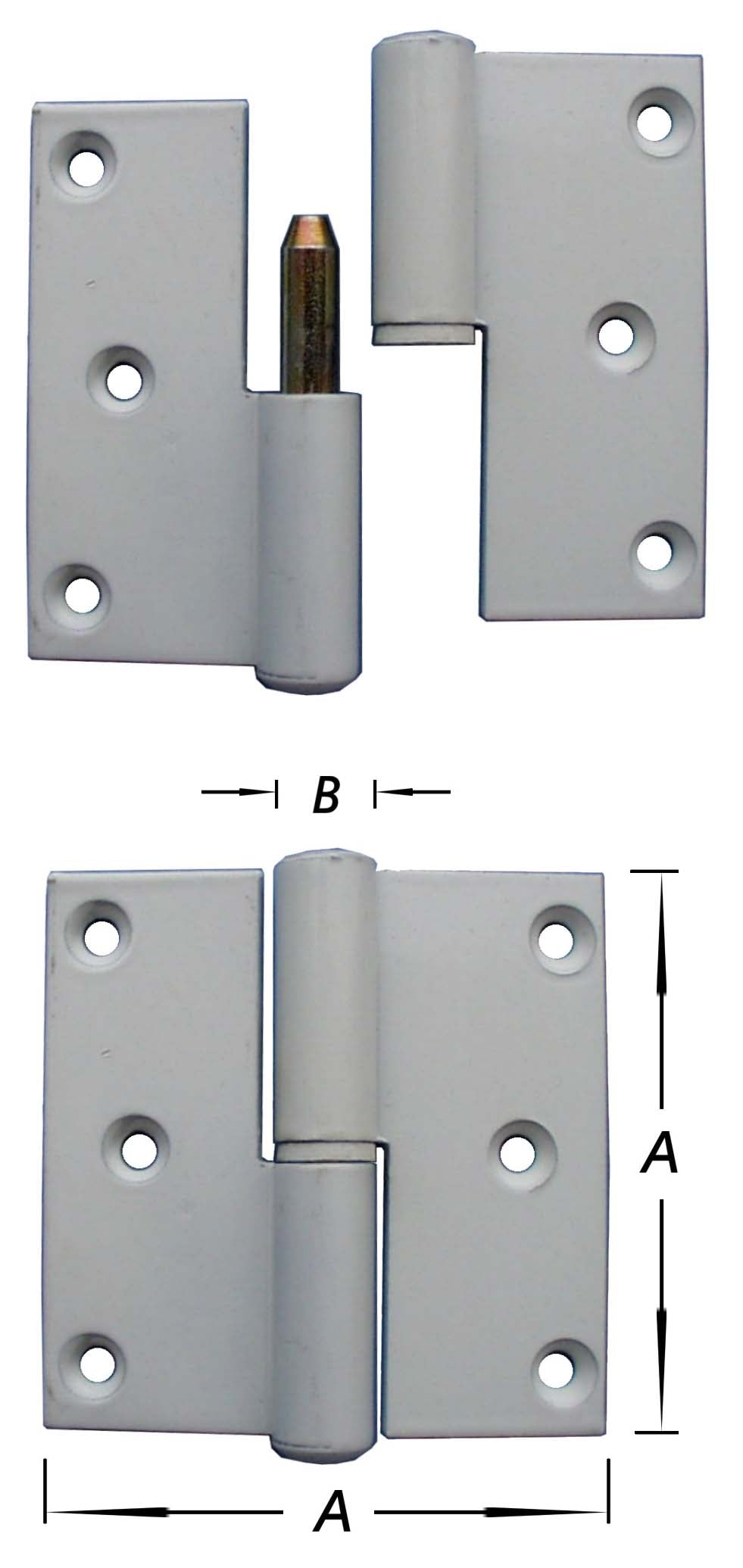 13620596.jpg