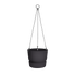 16242337.png