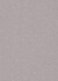 16786017.jpg