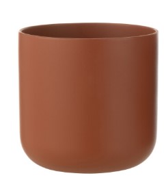 18853791-1.jpg